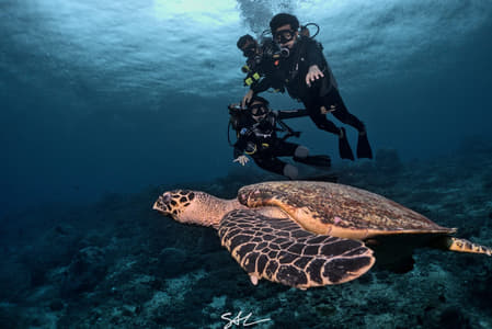 Discover Scuba