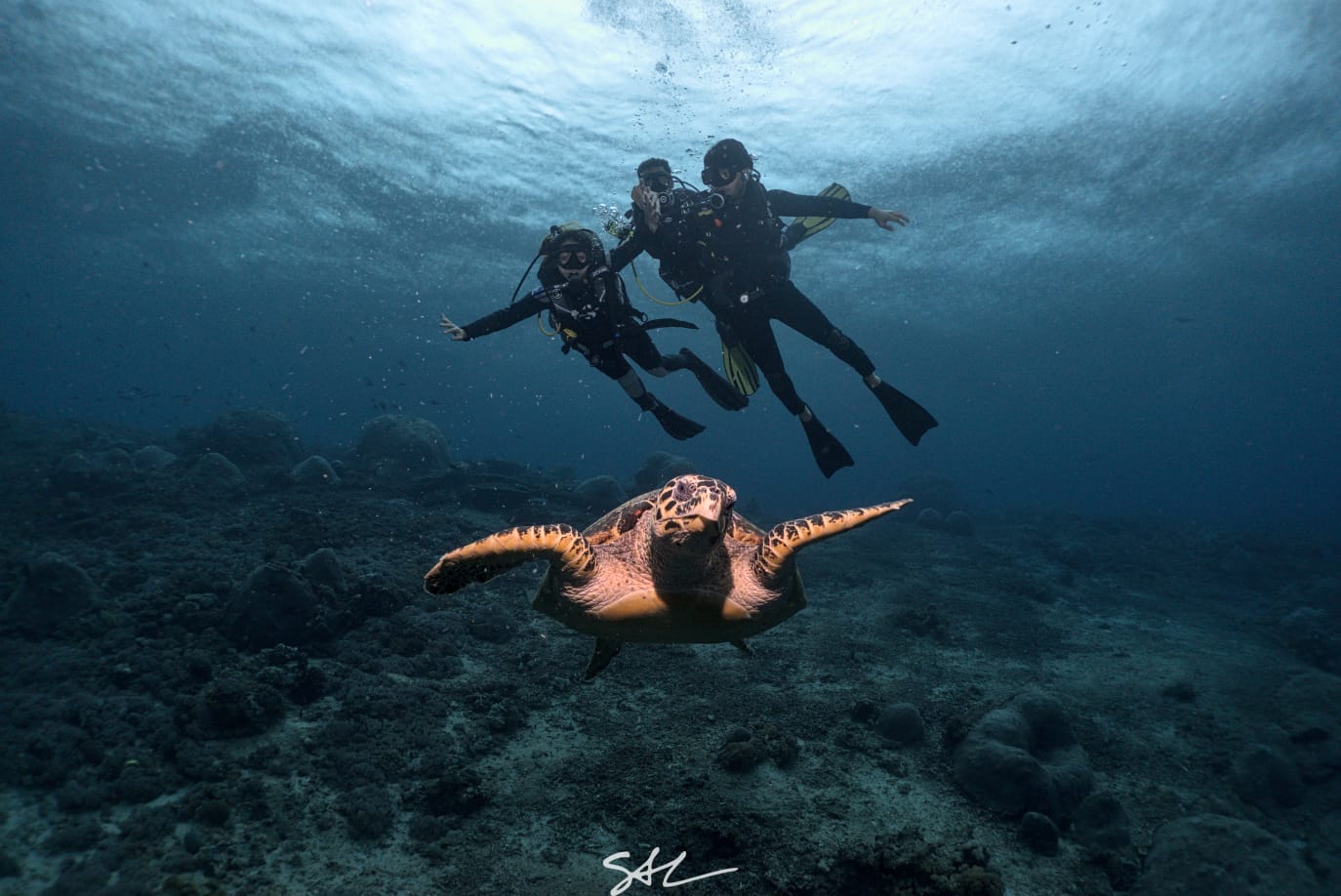 Diving