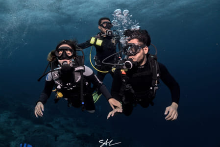Fun diving