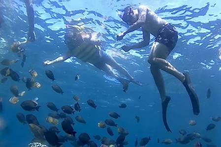 Snorkeling